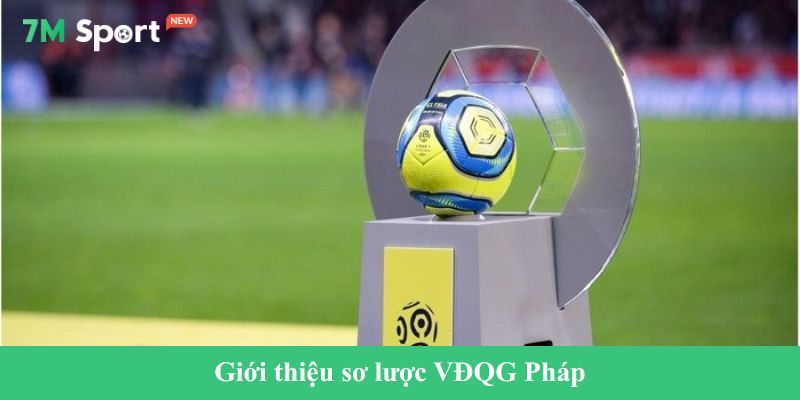 Giới thiệu sơ lược VĐQG Pháp