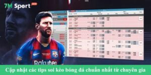 Tips soi kèo bóng đá