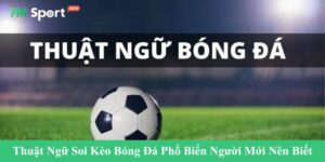 Thuật ngữ soi kèo
