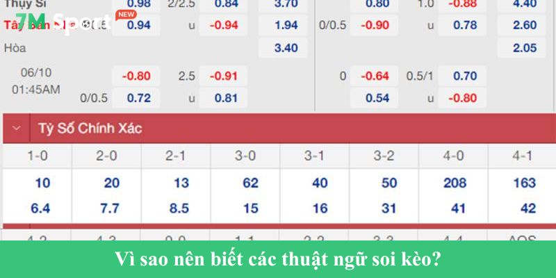 Vì sao nên biết các thuật ngữ soi kèo?