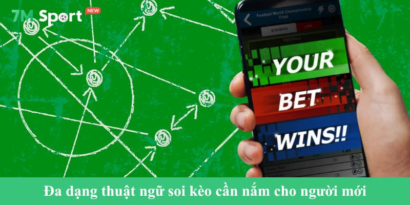 Đa dạng thuật ngữ soi kèo cần nắm cho người mới